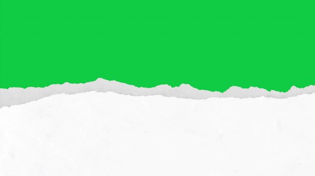 Animation stock video of paper is torn over green screen background suitable for message, and video Transitions . alpha channel only 4k