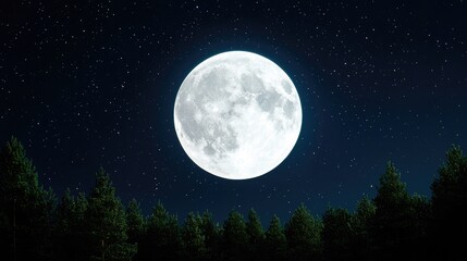 Fototapeta premium Full moon over pine forest at night, starry sky background; nature scene
