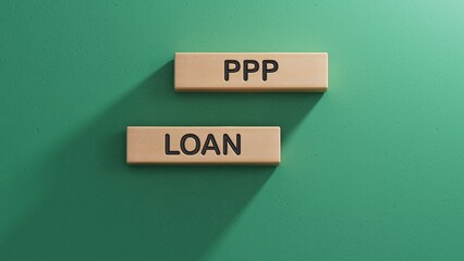 PPP LOAN sign. Wooden cube blocks. Copy space.3D rendering on green background.
