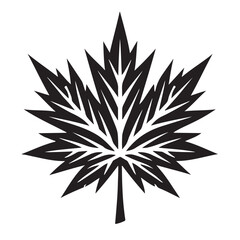 black and white snowflake