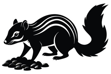 A Chipmunk Silhouette Vector on white Background