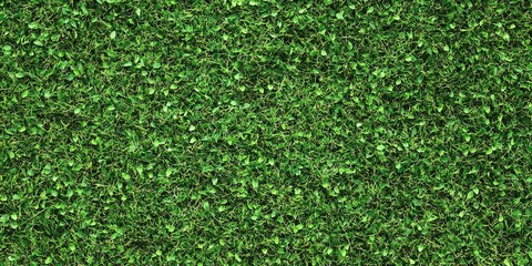 Synthetic Grass Floor with Textured Green Background