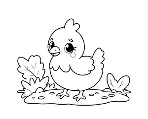 Coloring page of little chicken for kids coloring book