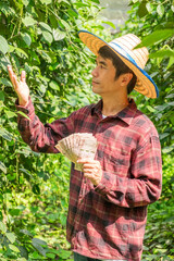 Harvesting greenery with cash in hand lush farm agriculture rural setting focused perspective prosperity concept