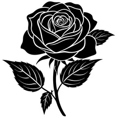 Graceful Rose Silhouette on White
