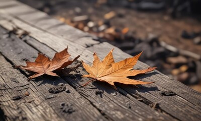 A lone brown leaf lies next to the burnt remains of a cigarette on a weathered wooden bench, tree branches, loneliness