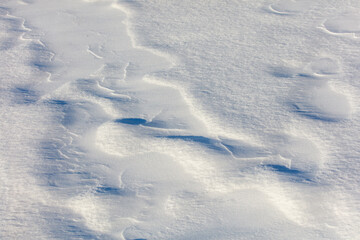 The snow is white and the ground is covered in it