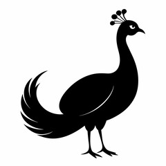 peacock silhouette vector icon on white background