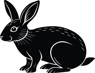 Silhouette of a Hare, Black and White, Mammal, Animal, Wildlife, Rabbit, Long Ears, Sitting Pose, Gr