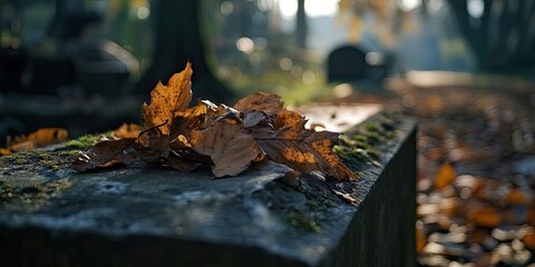 Obraz premium Autumn leaves in warm brown hues rest on a moss-covered tombstone in a tranquil cemetery setting, with soft sunlight filtering through trees.