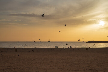 North Africa . Morocco, Beautiful city of Agadir. Agadir is a large city in Morocco, located on the Atlantic Ocean.
