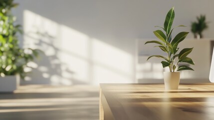 Sunlit Office Plant on Wooden Desk