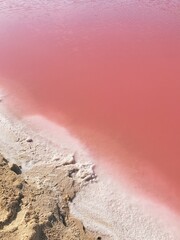 Las Colorado's Pink Yucatan Mexico