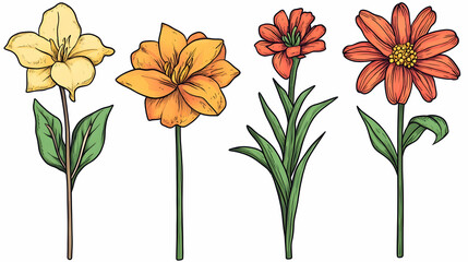 Colorful flower illustrations; design elements for cards, websites, or prints