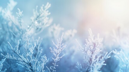 Delicate Frosted Leaves Capturing Winter's Beauty in a Serene Blue Tone with Soft Light Enhancing the Ice Crystal Texture and Magical Atmosphere