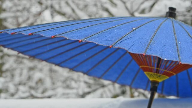 青い和傘と舞う雪