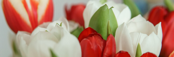Naklejka premium Spring Inspiration: Tulip Bouquet in Honor of International Women's Day