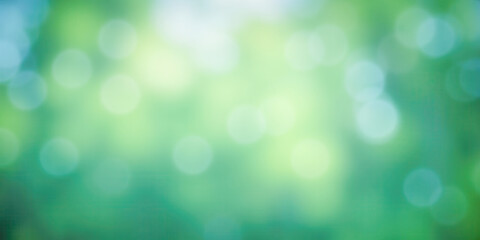 Obraz premium Soft green foliage summer sunlight bokeh background tranquil peaceful natural light