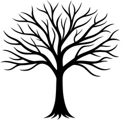 Obraz premium A thin abstract tree silhouette vector illustration