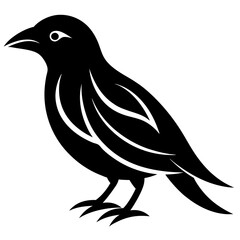 A minimal curved beak design silhouette vector illustration