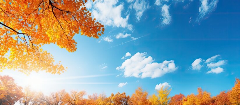 Vibrant autumn landscape with bright golden and orange leaves on trees against a clear blue sky with fluffy white clouds and sunlight illuminating the scene.