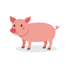 Pig isolated flat vector illustration on white background