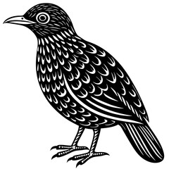 Minimalist Oilbird on White Background
