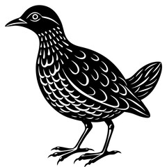 Minimalist Oilbird on White Background