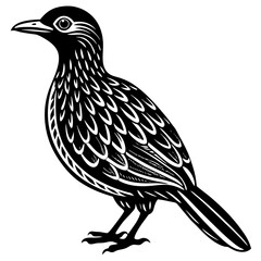 Minimalist Oilbird on White Background