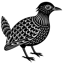 Minimalist Oilbird on White Background