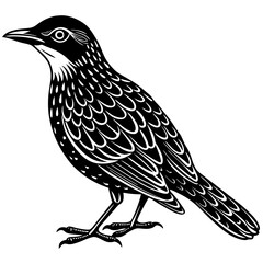 Minimalist Oilbird on White Background