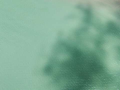 Green water background in the sea
