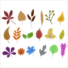 Obraz premium Autumn Leaves Collection. Can be used as graphic design 