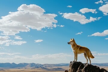 Naklejka premium dingo standing alert on a rocky outcrop, surveying the vast expanse of the Australian desert.
