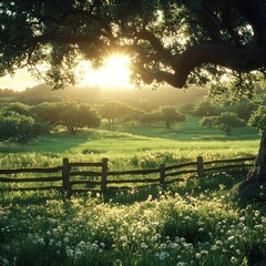 Naklejka premium Golden Hour Serenity: A picturesque pastoral scene bathed in the warm glow of the setting sun, showcasing a tranquil field dotted with wildflowers and a rustic wooden fence.