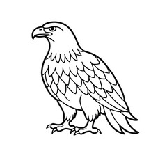 eagle isolated on white background