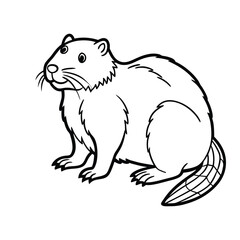 Squirrel black line art vector