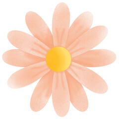 Orange daisy flower illustration transparent background 