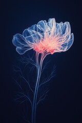 Translucent Chrysanthemum flower with vibrant streams of light flowing through its body on dark blue background