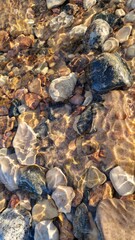 Sunlit River Stones with Clear Water Reflections