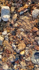 Sunlit Pebbles Under Transparent Water Surface