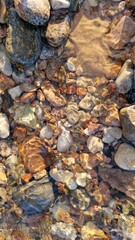 Shimmering Light on Riverbed with Diverse Stones