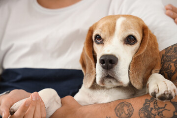 Young couple with cute Beagle dog at home, closeup