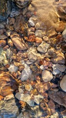 Vibrant River Pebbles in Clear Flowing Water