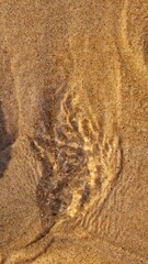 Sunlit Sand Patterns on Beach at Golden Hour