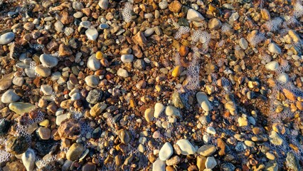 Coastal Beach Pebbles with Seawater Bubbles