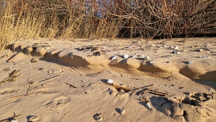 Sand Sculptures and Wind Patterns on Deserted Beach