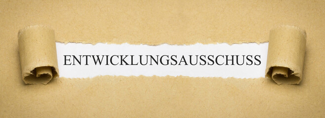 Entwicklungsausschuss