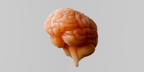 Mental health care and treatment concept image.3d rendering