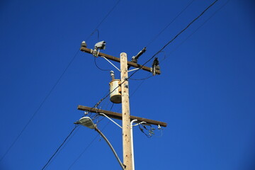 wooden power lines with blue sky